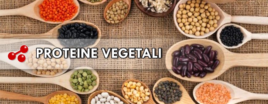 PROTEINE VEGETALI